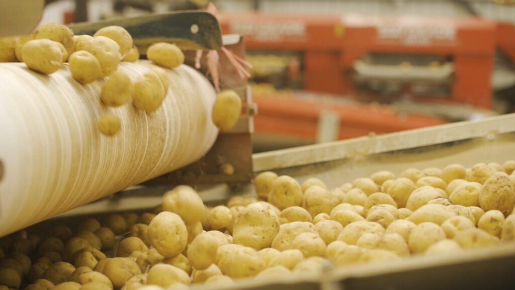 L’agroalimentaire : un secteur où qualité prime à chaque étape de la chaîne de production et de distribution
