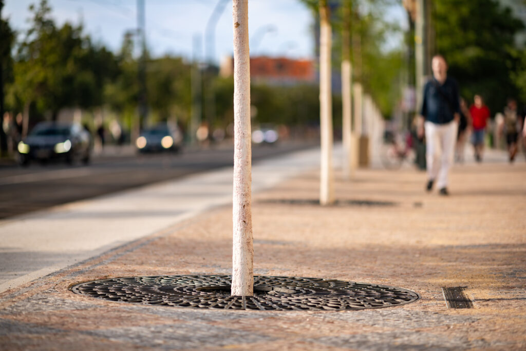 Réduire les îlots de chaleur urbains pour rafraîchir la ville